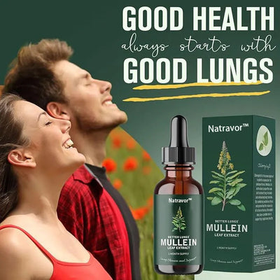 Kalvoria Mullein Leaf Extract Drops